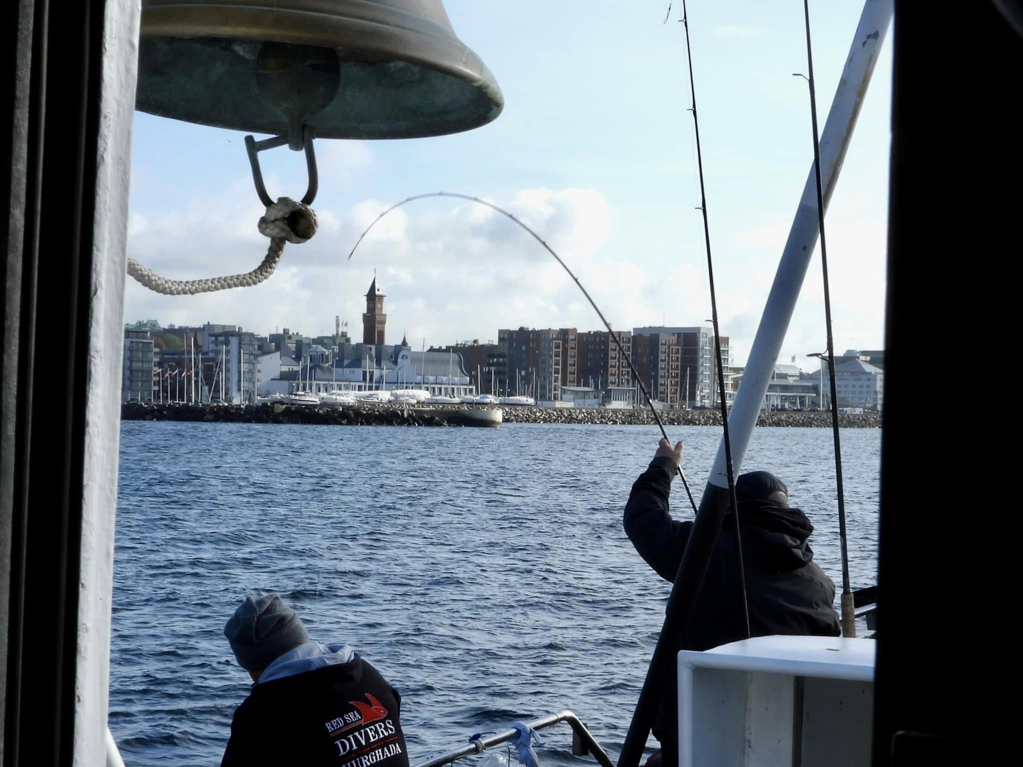 Waterman Travel indsamler 31.830 kr. til udsætning af fisk i Øresund!