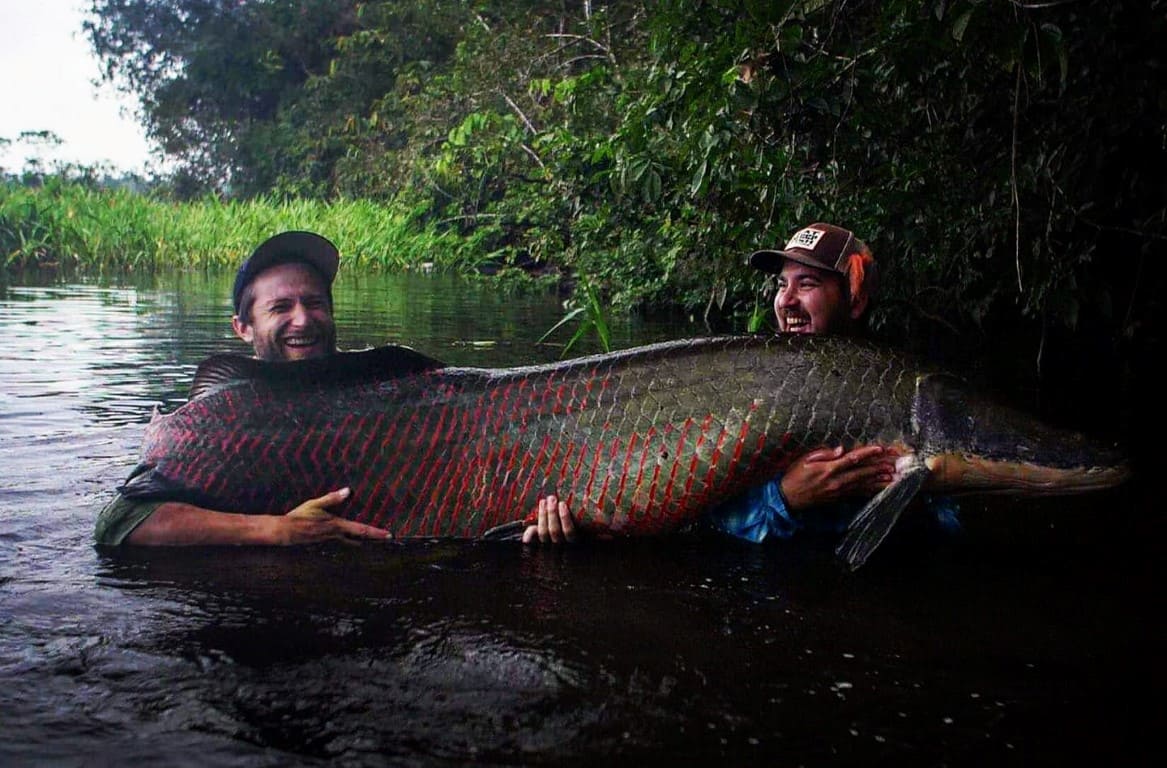 Peru