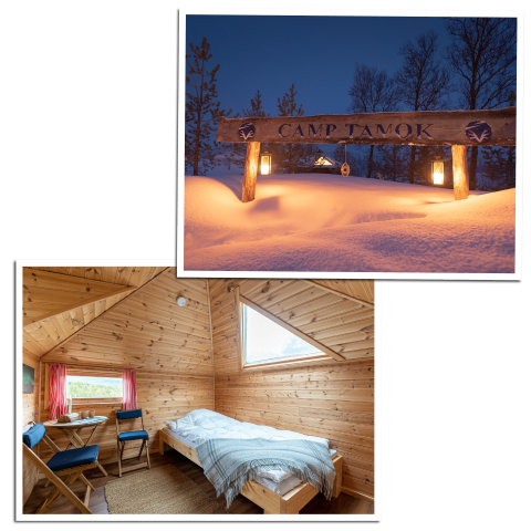 Overnatning i nordlys-hytte - Camp Tamok