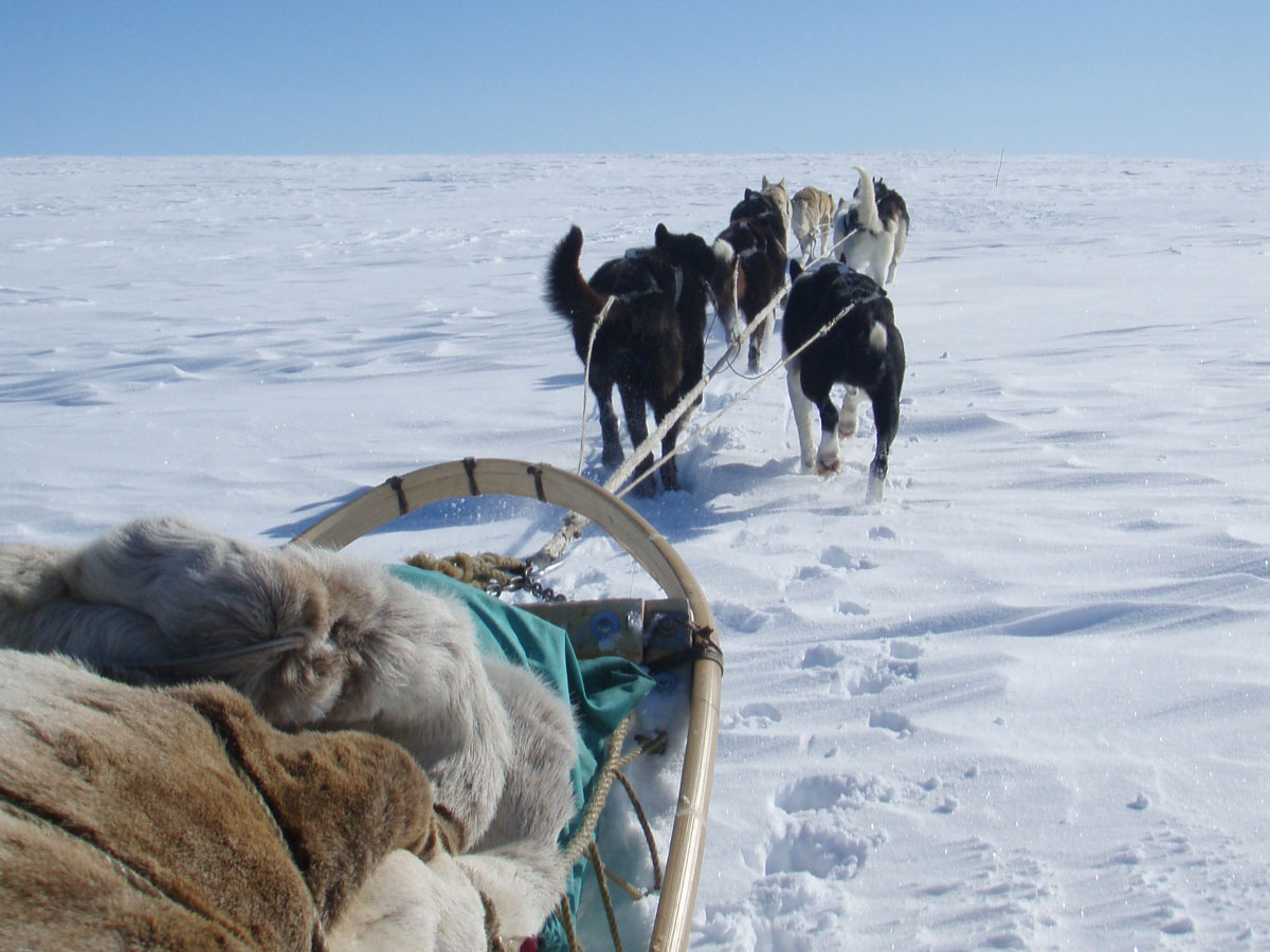 Hundeslæde i Norge