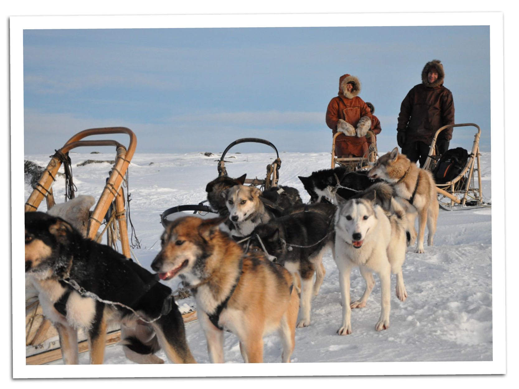 Svalbard på Hundeslæde