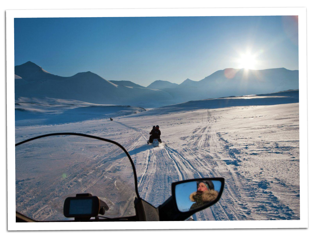 HUNDESLÆDE PÅ SVALBARD