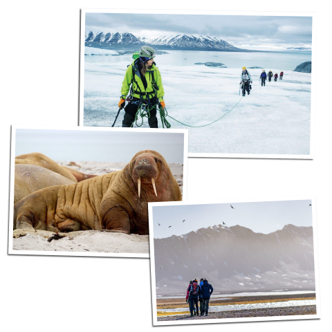 Sommerrundrejse på Svalbard